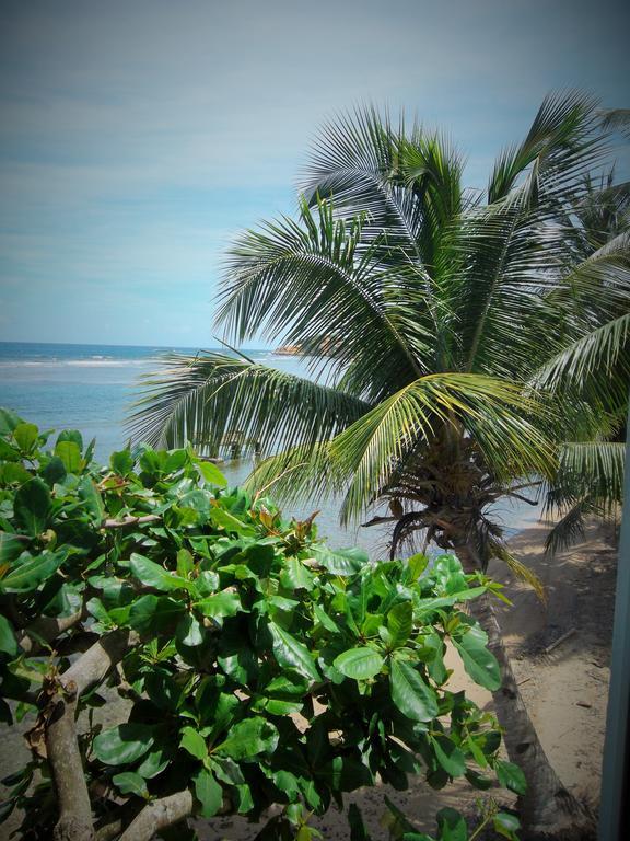 Calibishie Sandbar Hotel Exterior photo